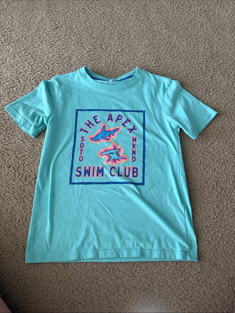 chubbies Aqua 'Swim Club' Graphic Tee